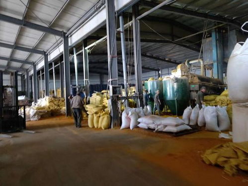 四川首富易主,從500元創業養魚,到身價1250億,他是如何做到的