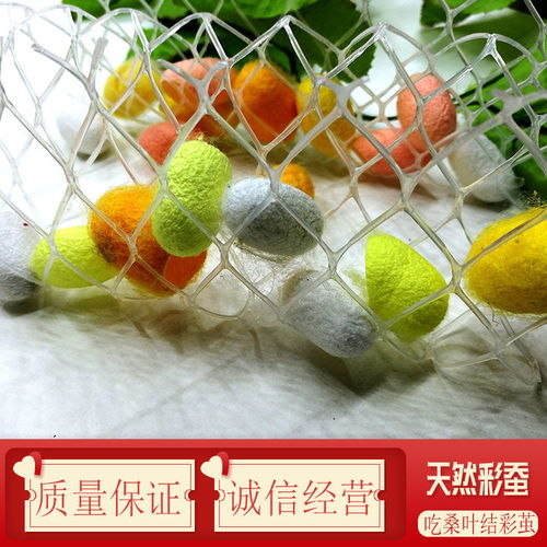 自然科學(xué)的奇妙旅程 蠶寶寶的成長(zhǎng)與彩色蠶絲的奧秘