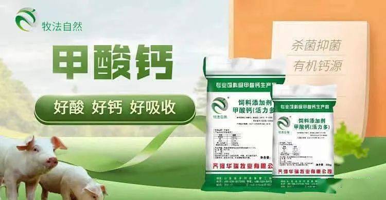 飼用酸化劑在保育豬飼料中的應(yīng)用 提升利用率與降低料重比