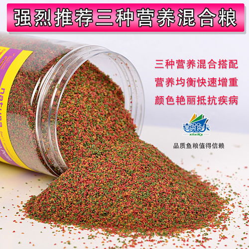 小型熱帶魚(yú)飼料的選擇與喂養(yǎng)指南