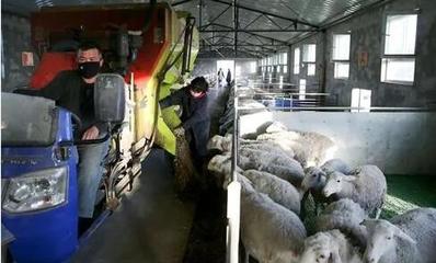 在脫貧大考中交出一份合格答卷——來自新疆和田地區(qū)脫貧攻堅一線的戰(zhàn)報