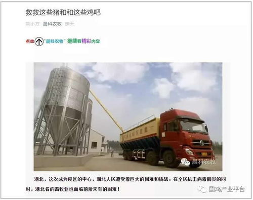 飼料告急！湖北龍頭養(yǎng)雞企業(yè)僅剩3天庫存，畜牧業(yè)協(xié)會緊急呼吁救急