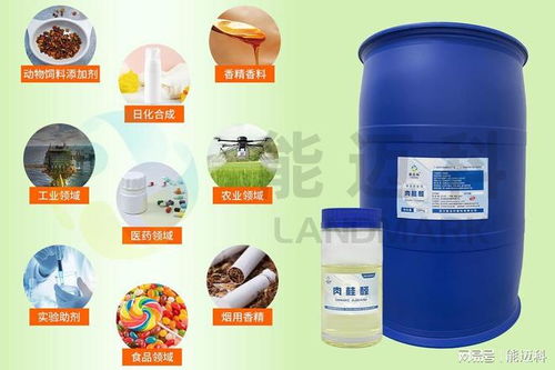 飼料級肉桂醛生產(chǎn)廠家實(shí)力評估與選型參考指南