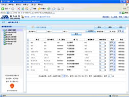 電子商務應用專家視角 大宗商品電子交易與信息化服務的融合發展